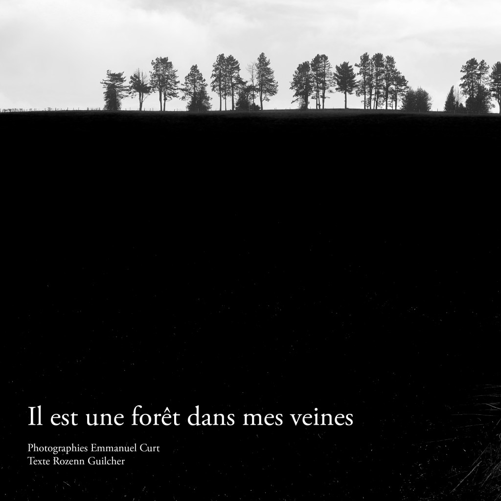Affiche exposition Il est une forêt dans mes veines Rozenn Guilcher