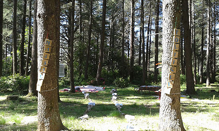Massages poétiques en forêt
