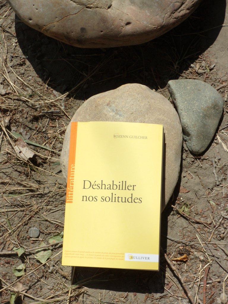 Livre Rozenn Guilcher Déshabiller nos solitudes