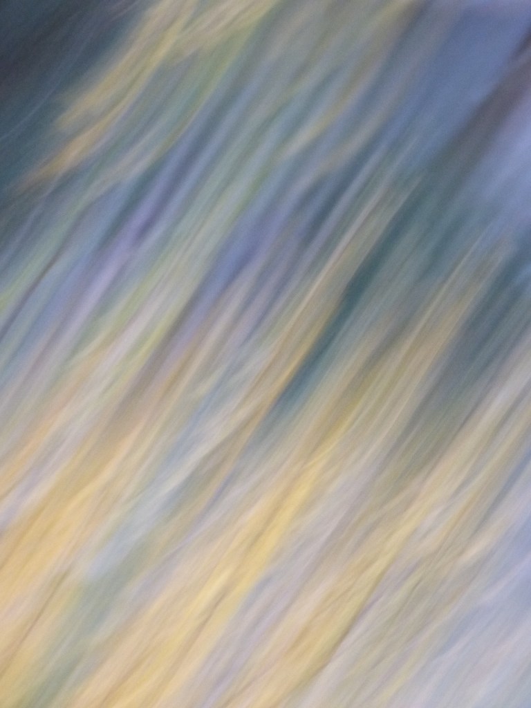 Photo Rozenn Guilcher traces jaunes