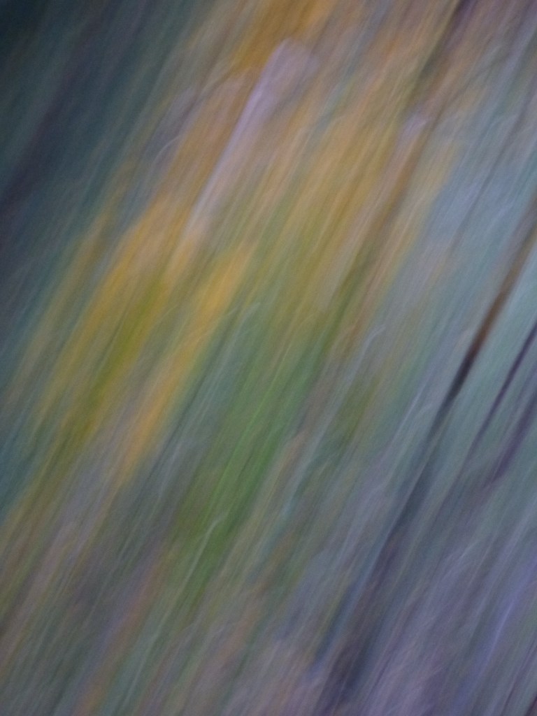 Photo texture Rozenn Guilcher