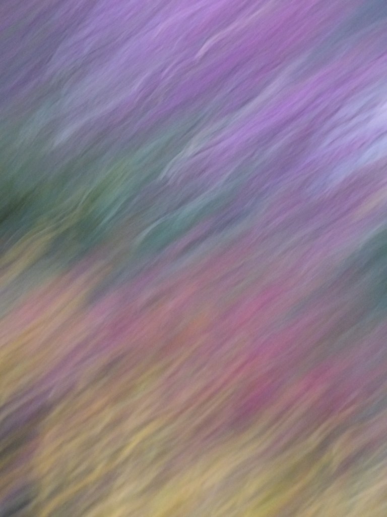 Texture violette photo Rozenn Guilcher