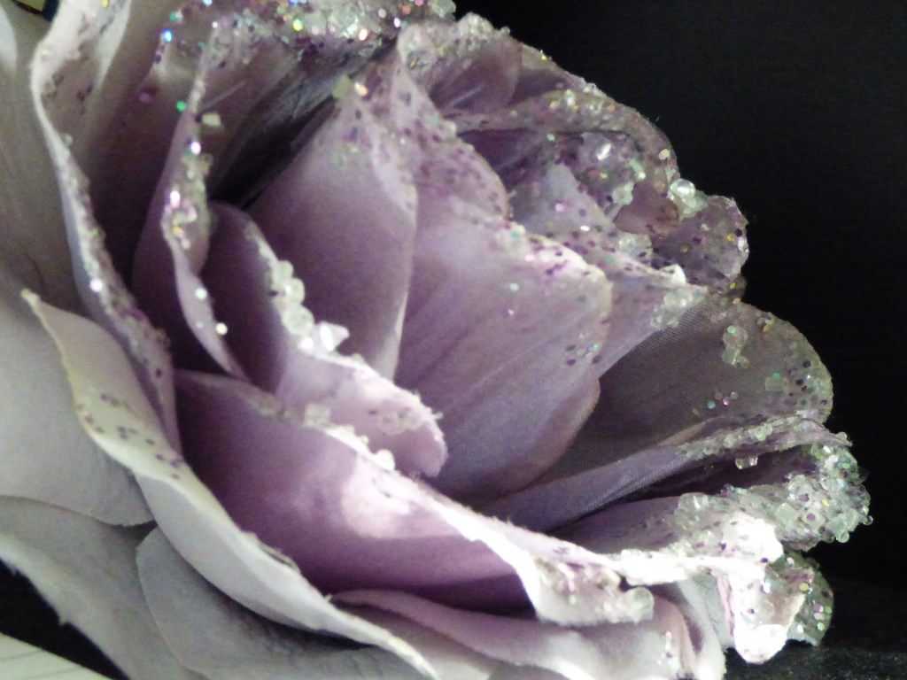 Photo fleur mauve Rozenn Guilcher