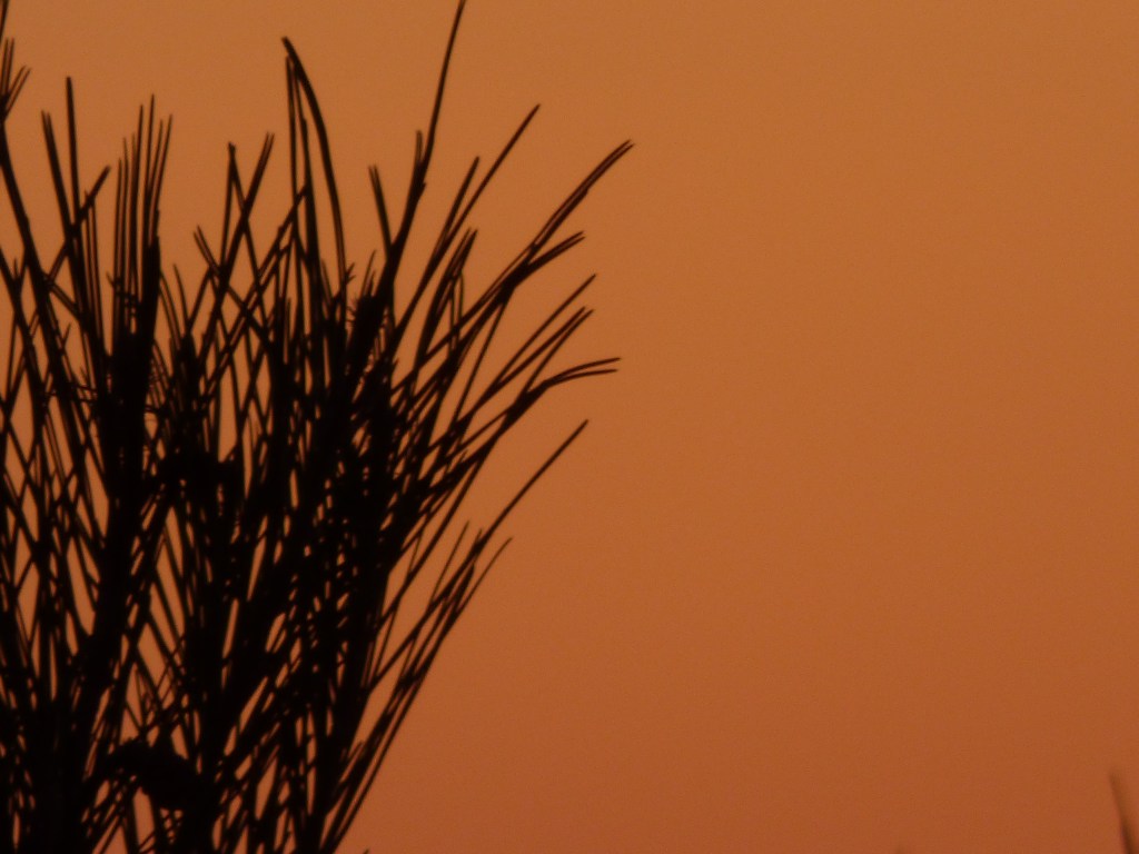 Photo pin soleil Rozenn Guilcher