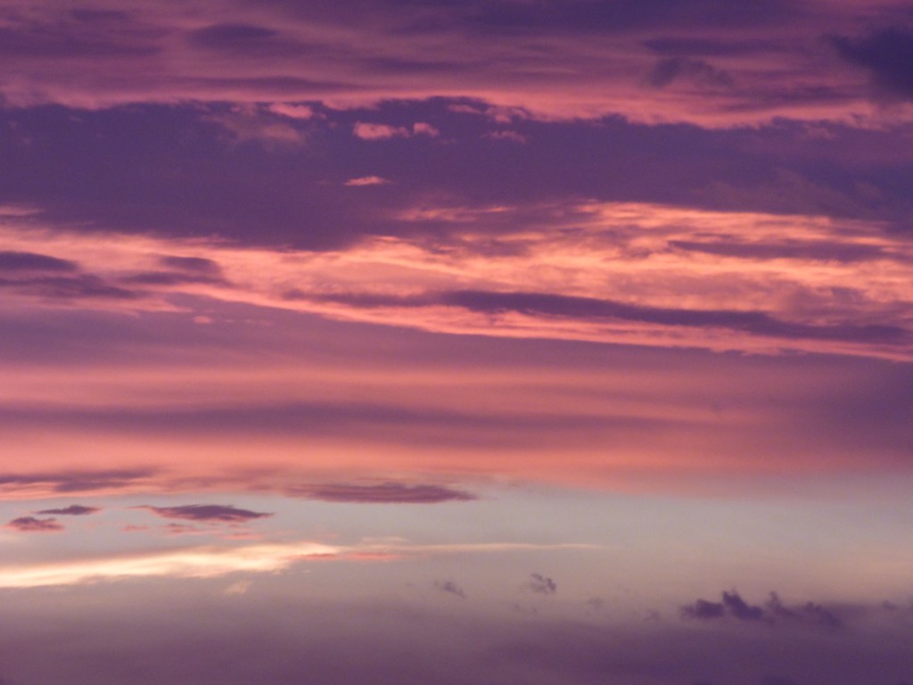 Photo Rozenn Guilcher iel