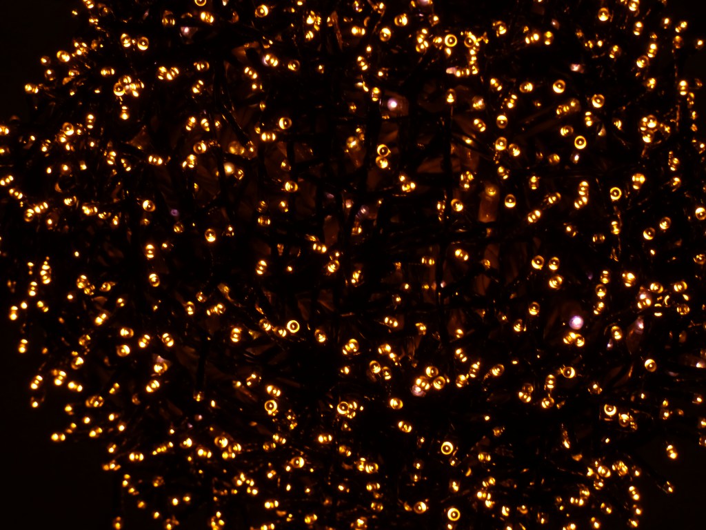 Photo Rozenn Guilcher Lumière noire